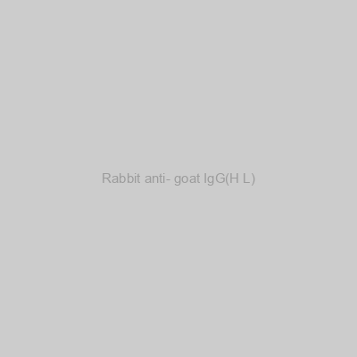 FN Test - Rabbit anti- goat IgG(H+L)